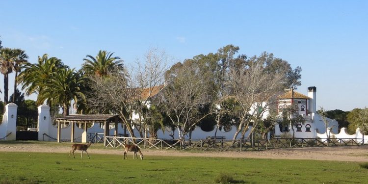 El Gobierno realiza obras de rehabilitación en el Palacio de ‘Las Marismillas’ 1 palacio las marismillas doñana