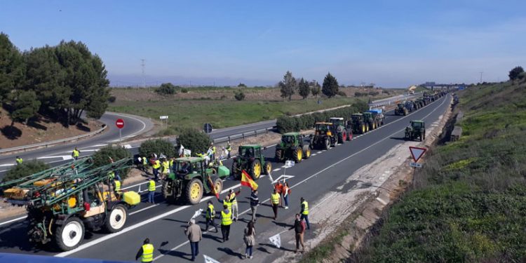 El campo jiennense sale a la calle para protestar ante el desorbitado incremento de costes 1 protesta agricultores jaen